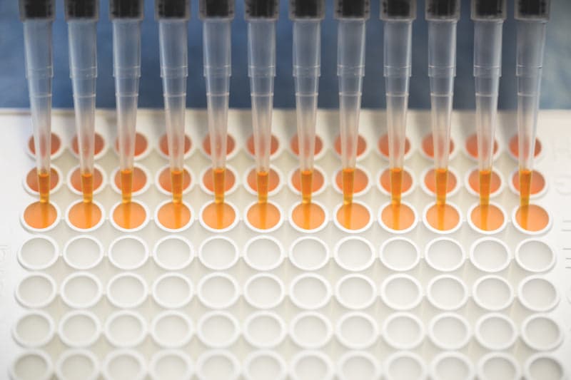 Rows of pipette tips and sample wells in an orange laboratory tray